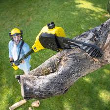 Best Tree Mulching  in Guymon, OK