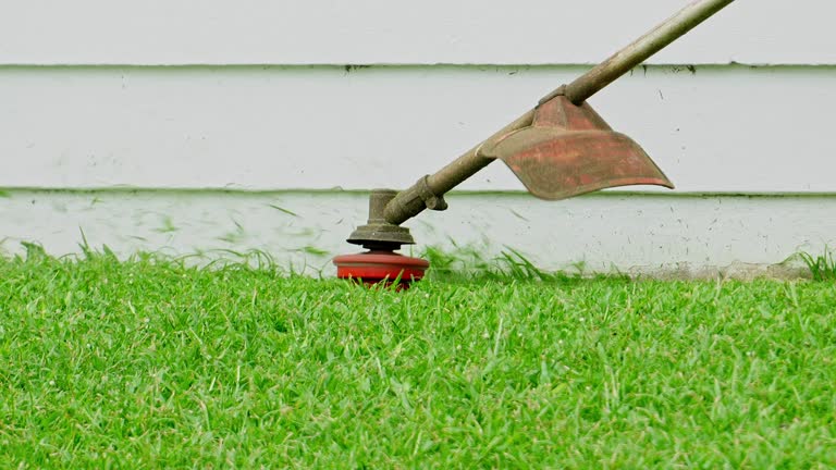 Lawn Drainage Solutions in Guymon, OK