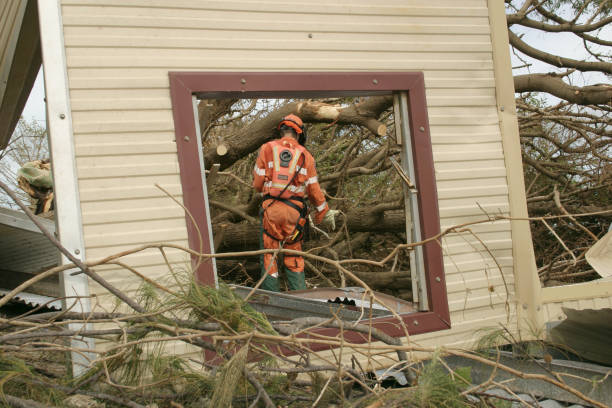 How Our Tree Care Process Works  in  Guymon, OK
