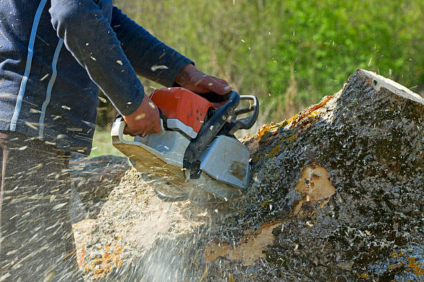 Best Lawn Irrigation Installation and Maintenance  in Guymon, OK